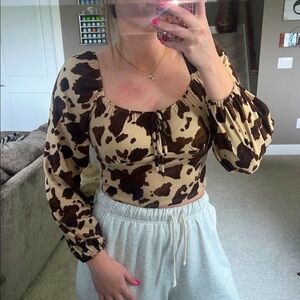 NWT Stylish Brown and Cream Women's Top